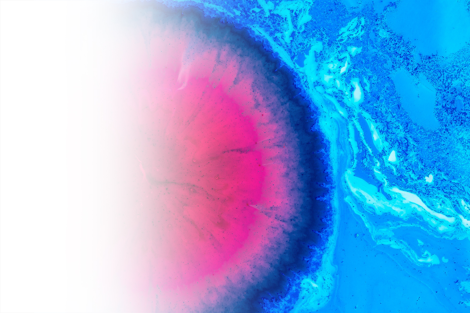 Creative Agency ArtVersion Chicago