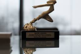 Award Winning Creative Agency ArtVersion
