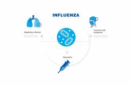 influenza infographic