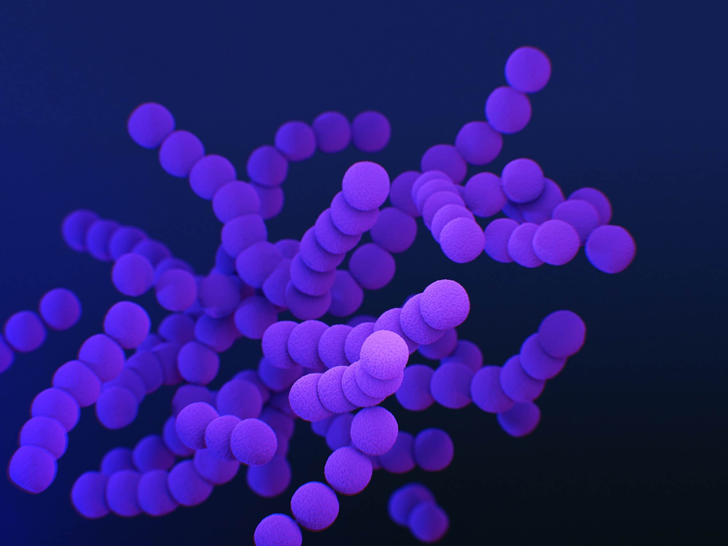 An abstract design of purple cells.