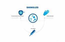 shingles infographic