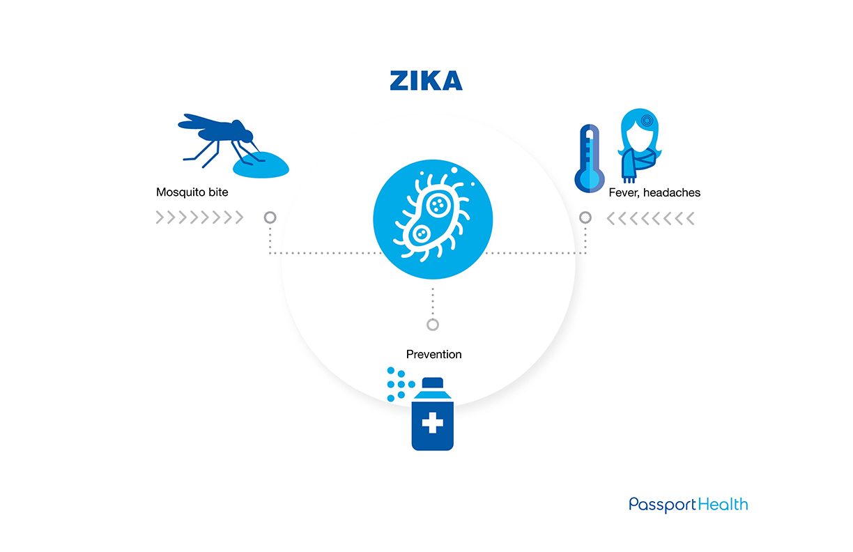 A infographic of the Zika virus.