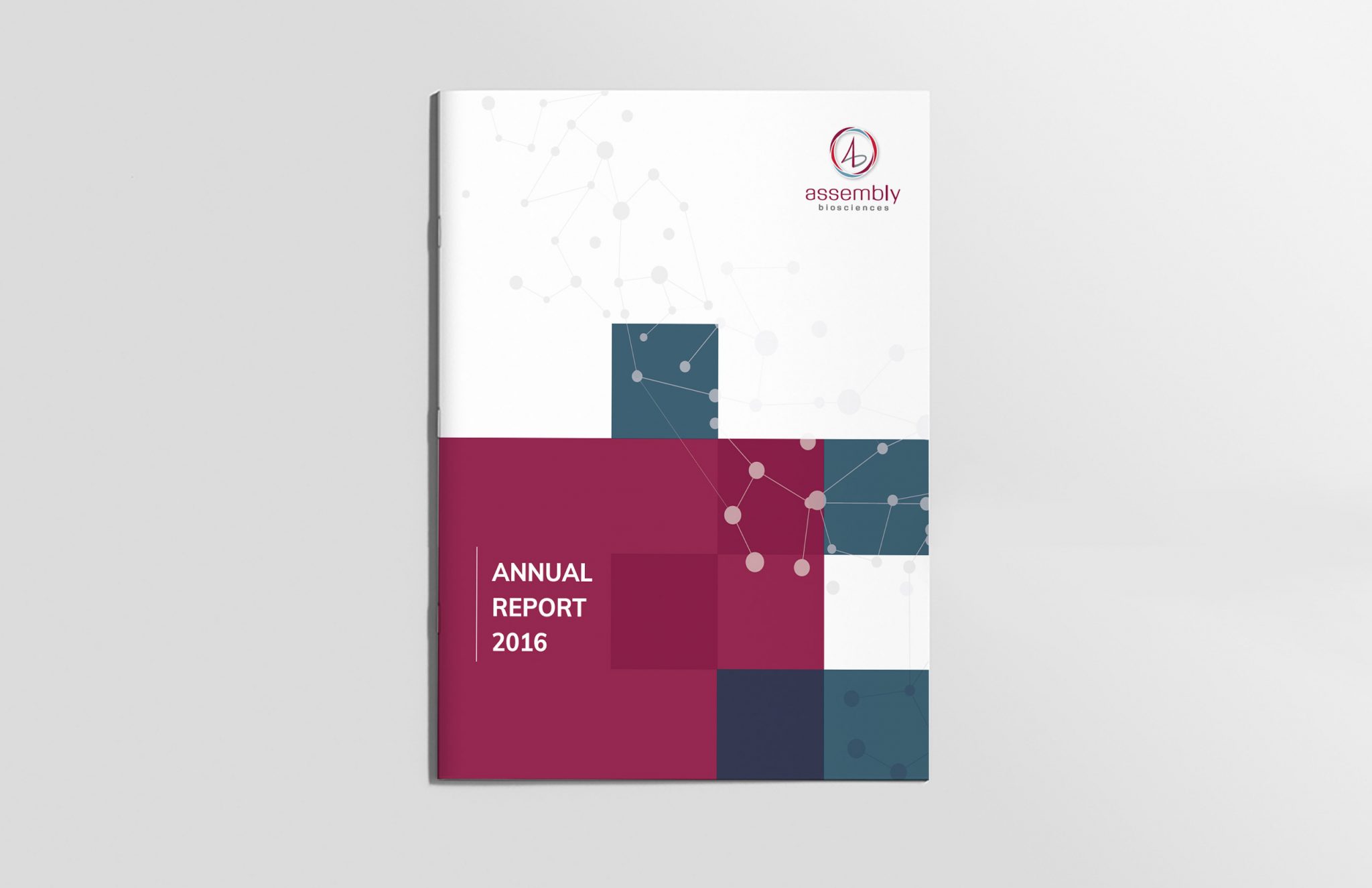 Annual report print design.