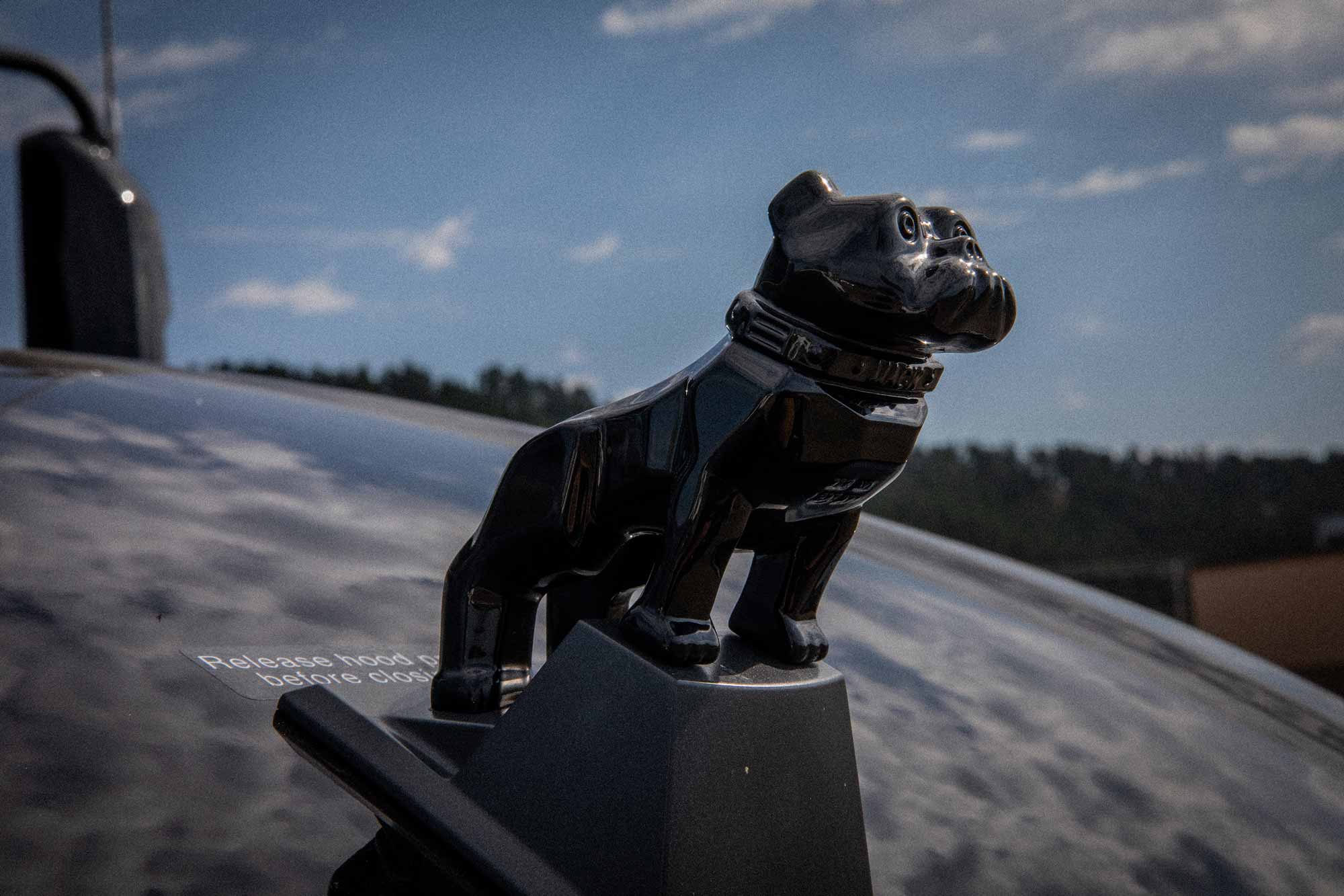 Mack truck emblem bulldog.