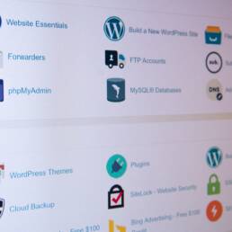 A screen showcasing WordPress features such as Plugins, Themes, and more.