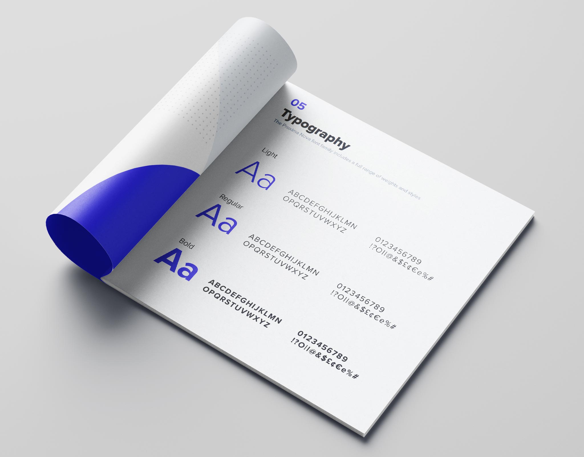 A brand guideline open page showing the typography of a insuretech company.