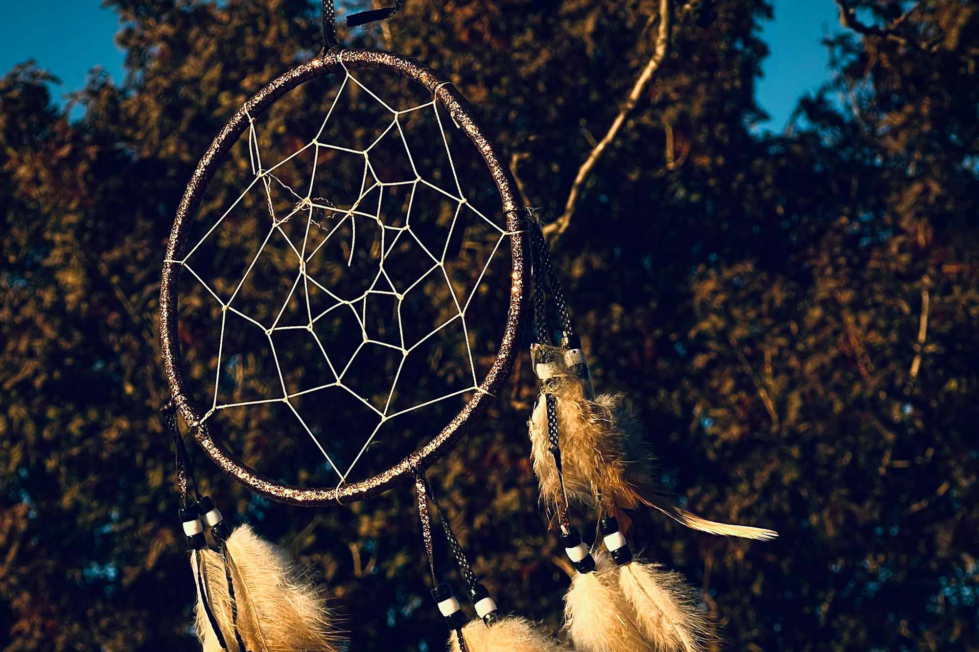 A dreamcatcher with feathers hung from a tree.