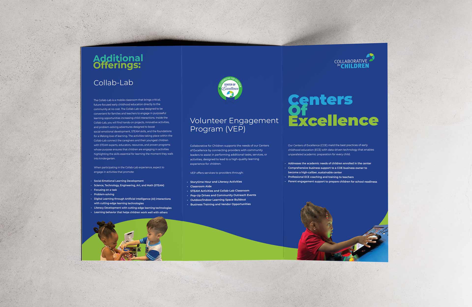 The front and back of the Centers of Excellence trifold brochure.