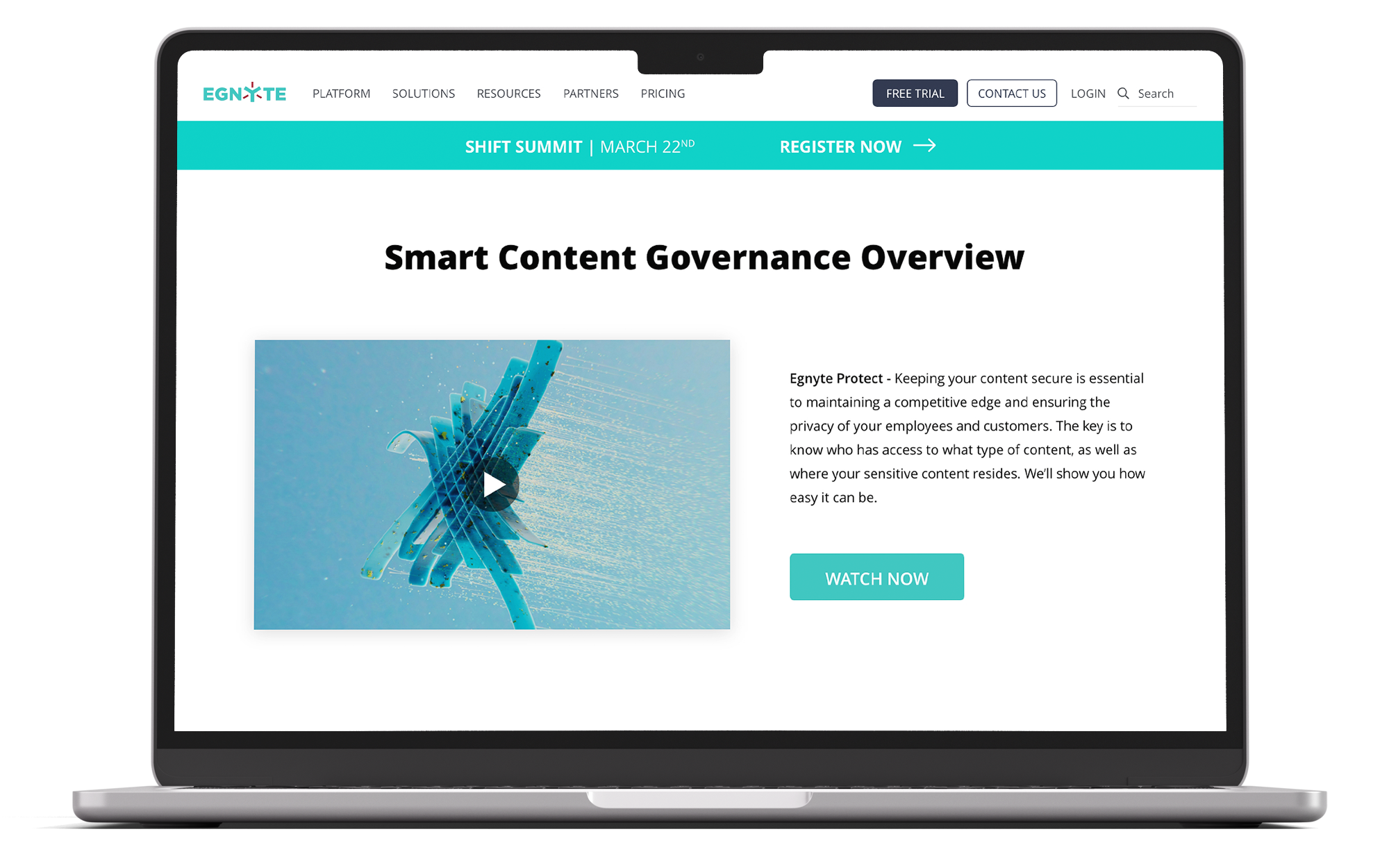 Website experience, showcasing a governance overview webpage.