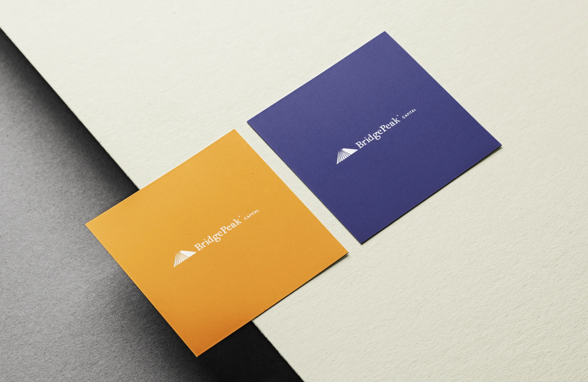 Logo color alternatives for a financial firm.