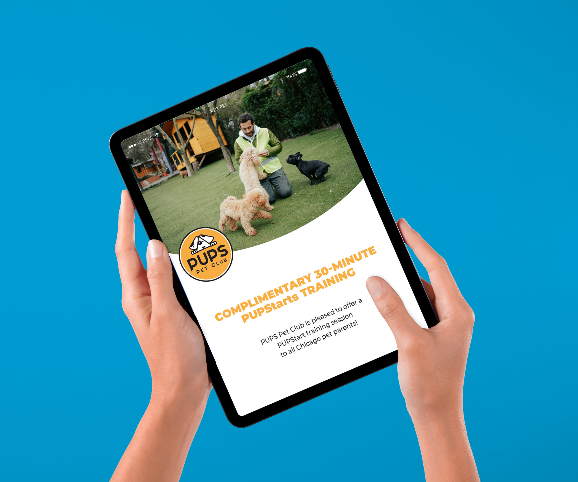 A tablet screen on a table showcasing a dog training UX screen.