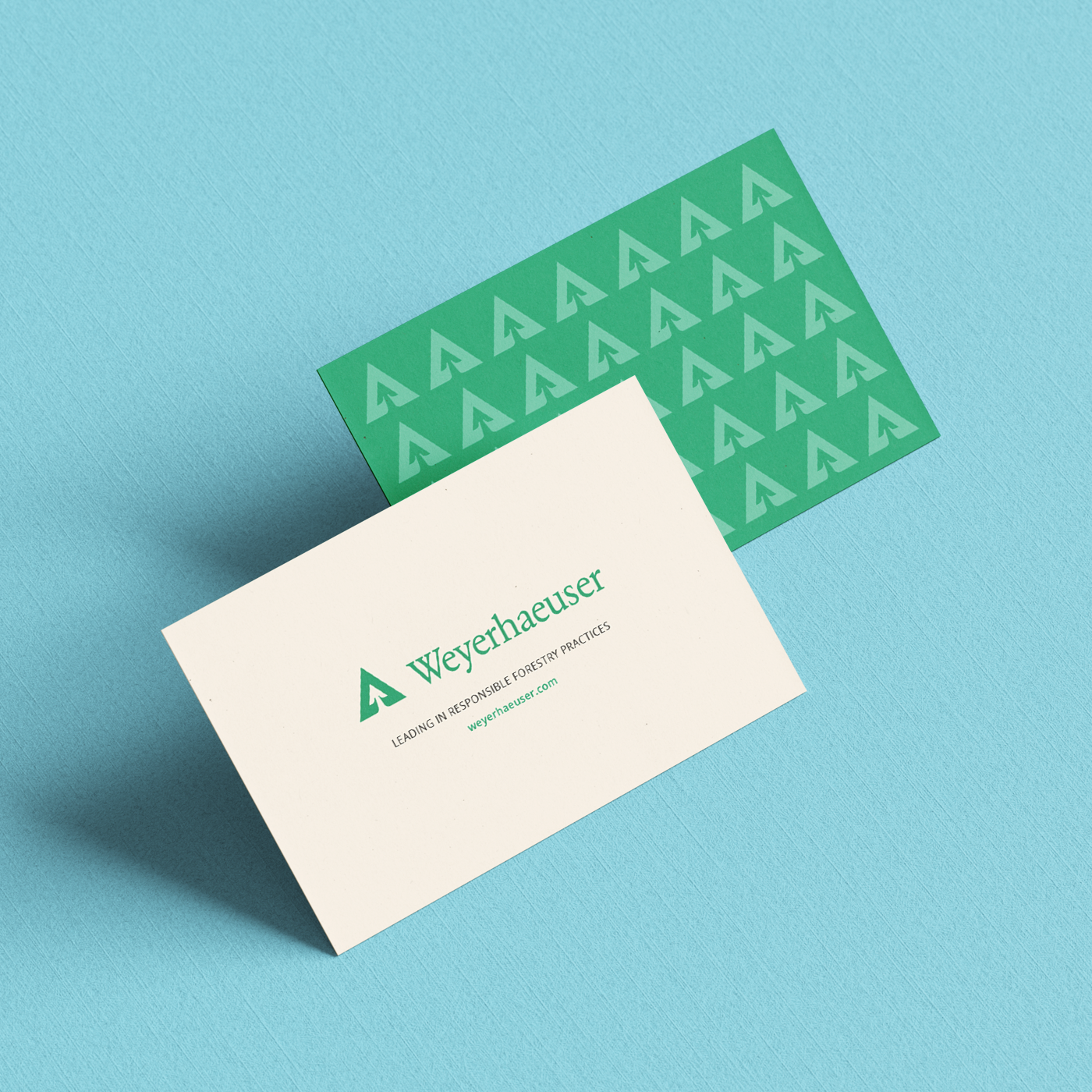 Business card designs for a timber and sustainable forestry manufacturing company.