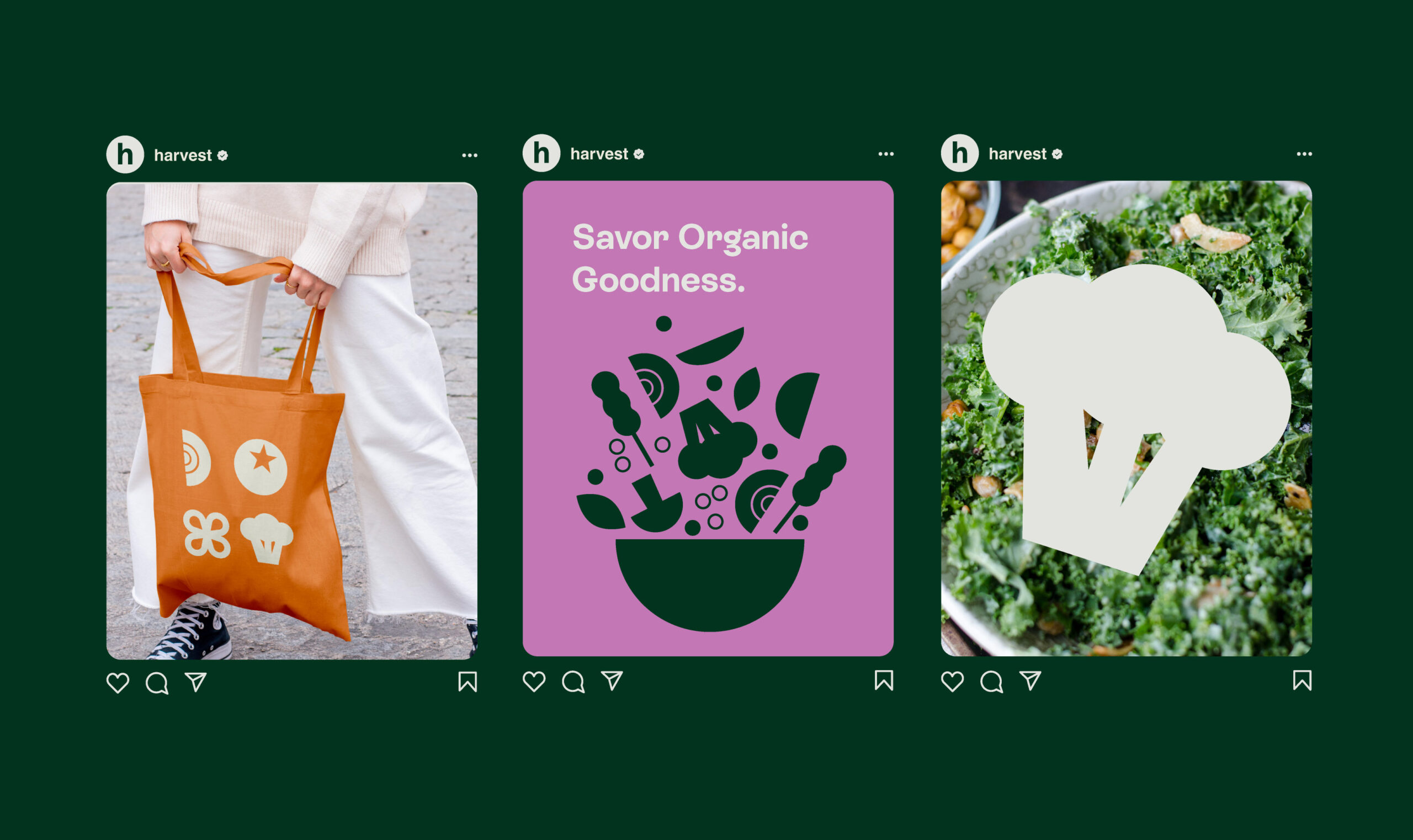 Design concepts for three instagram posts for an organic salad company account.