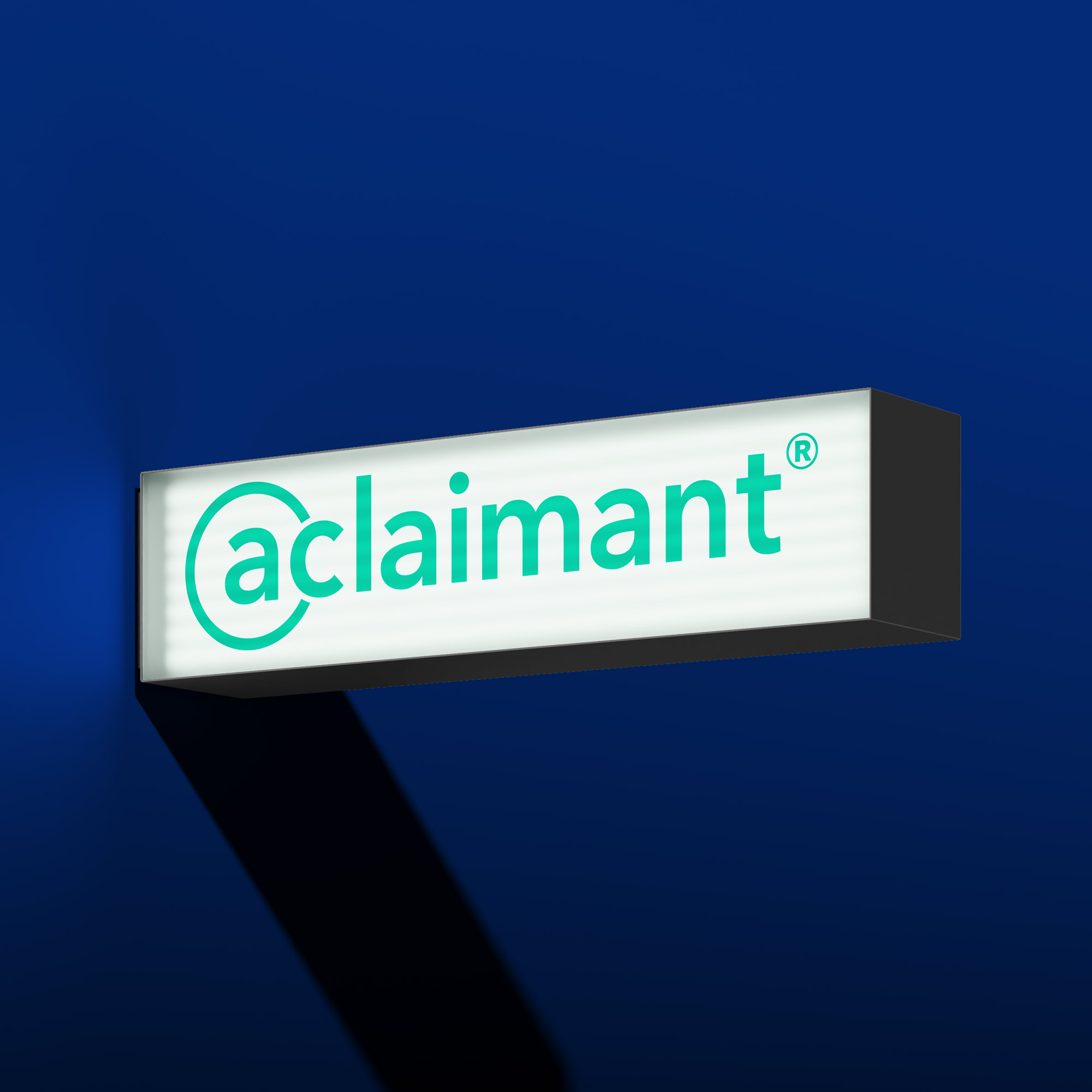 A rectangular sign showcasing a logo for a software company.