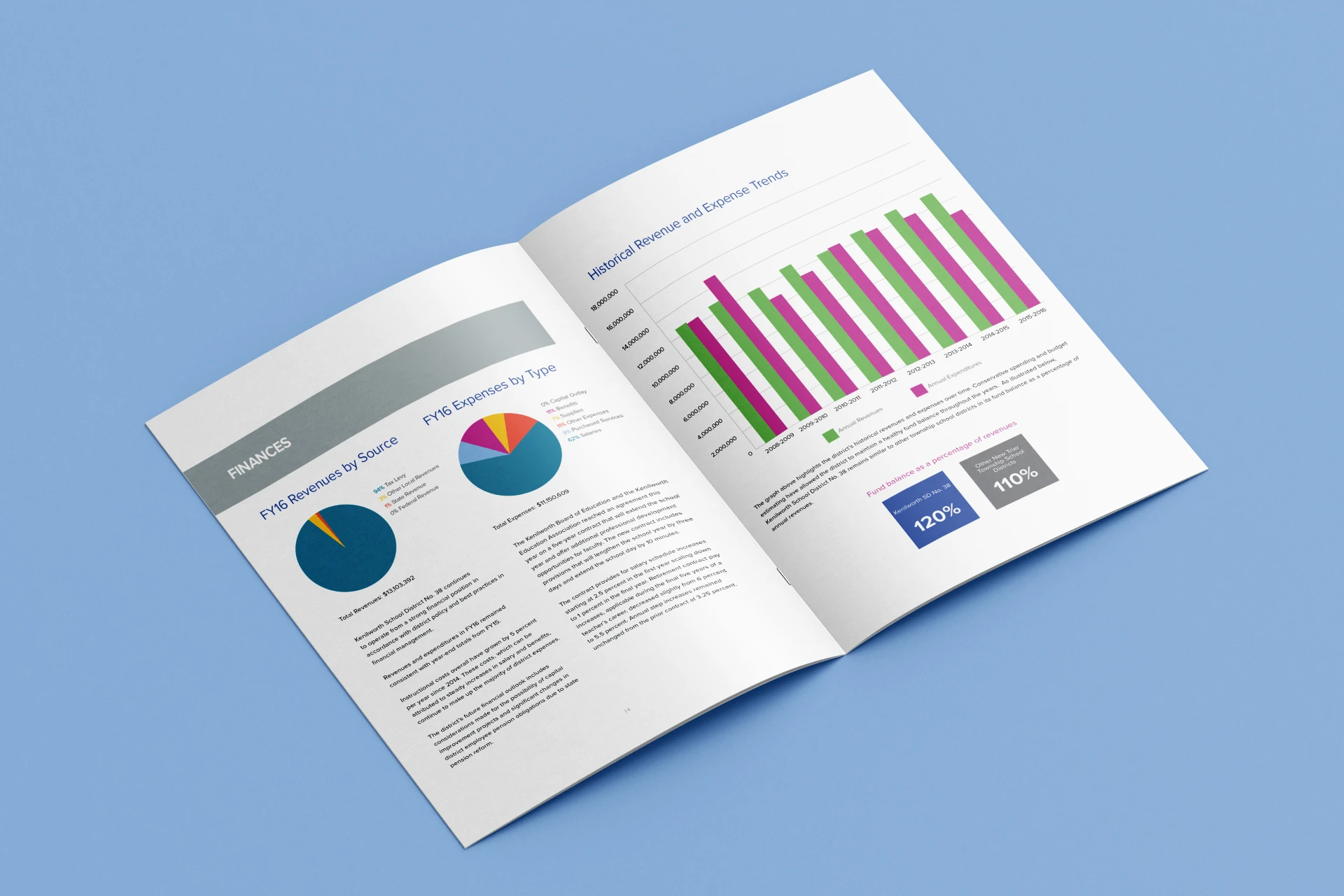 Annual Report and Collateral Design for Illinois School District