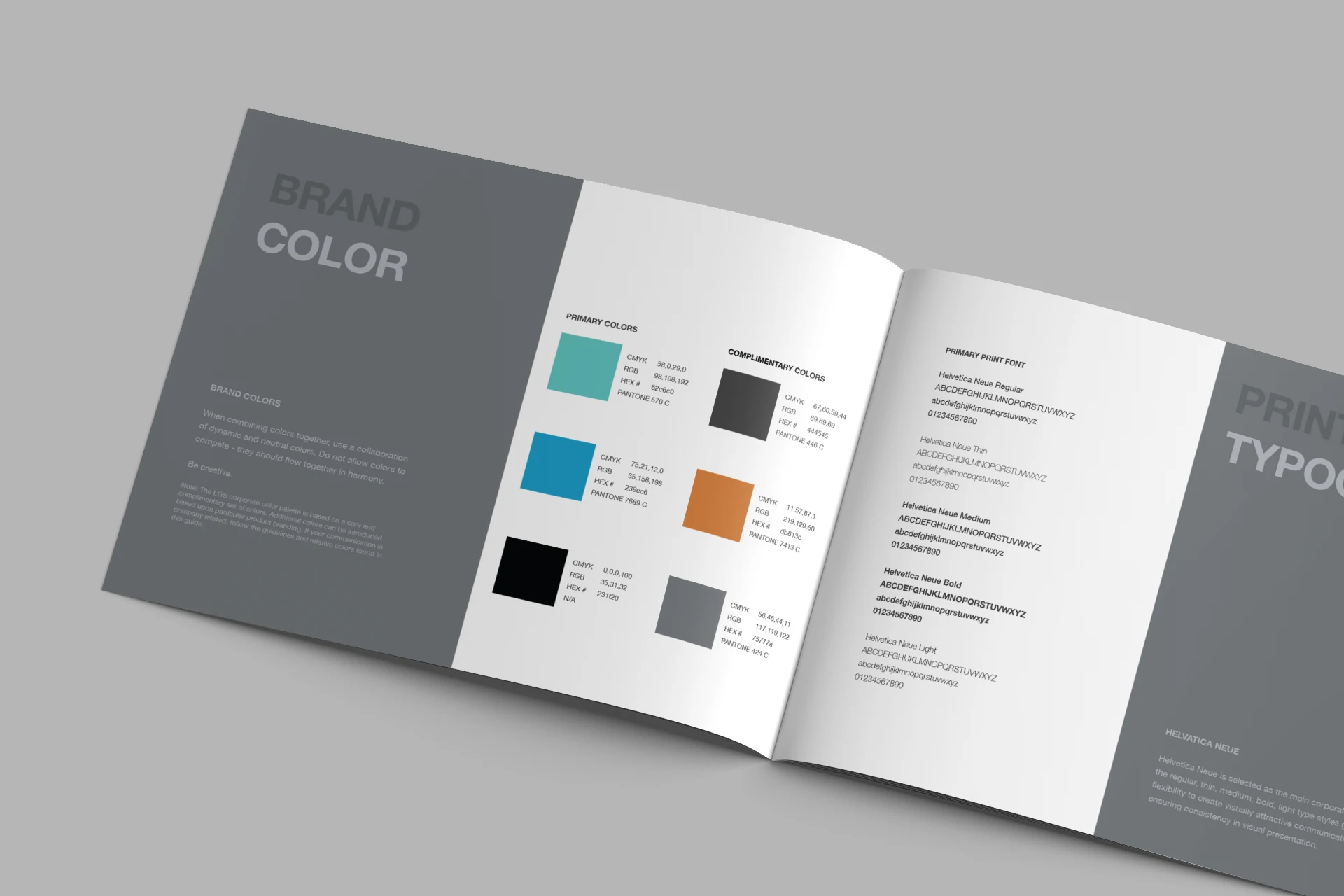 Brand color page of a brand manual booklet.