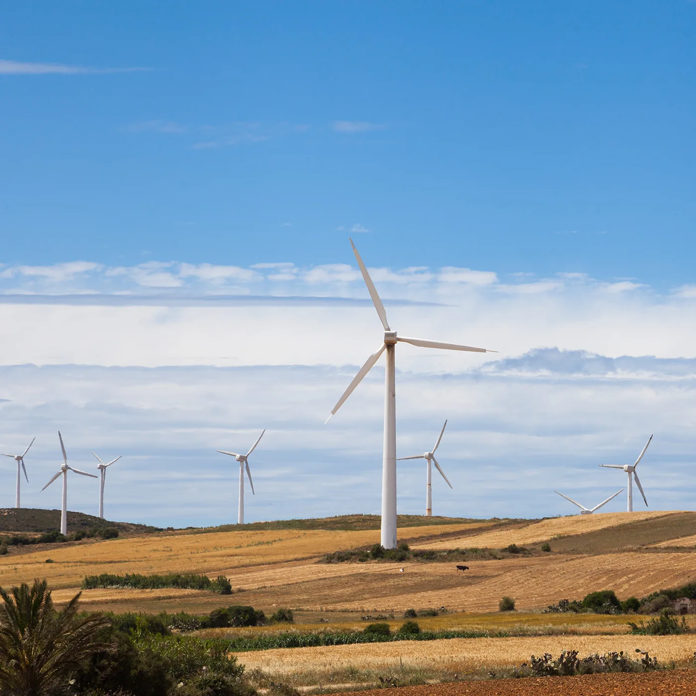 Turbines in a valley landscape.